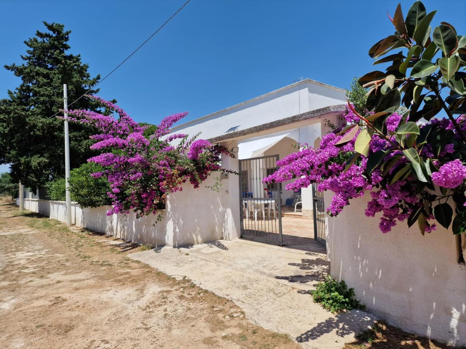 Villa Carmela A סן פייטרו אין בוואניה מראה חיצוני תמונה