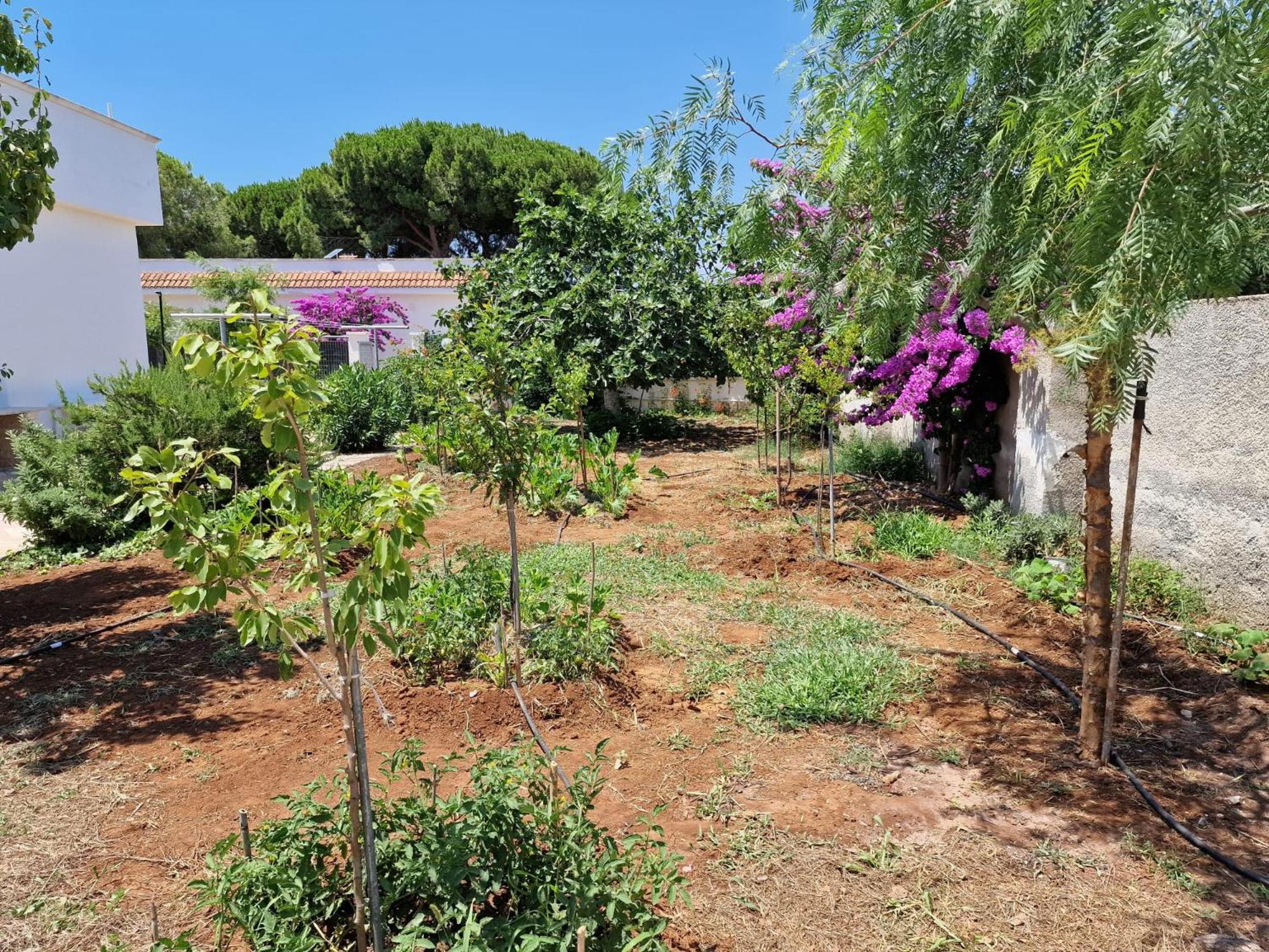 Villa Carmela A סן פייטרו אין בוואניה מראה חיצוני תמונה