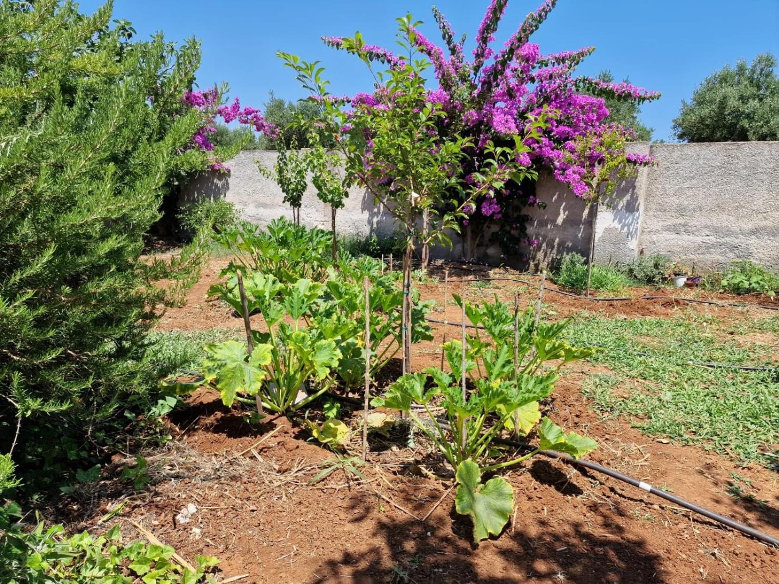 Villa Carmela A סן פייטרו אין בוואניה מראה חיצוני תמונה
